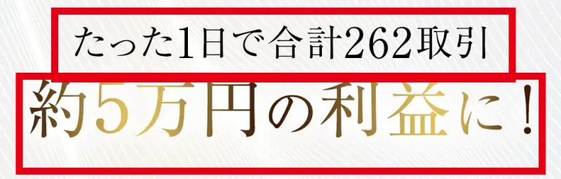 EX-MAKERの販売ページにある262回の取引で約5万円の利益という掲載例