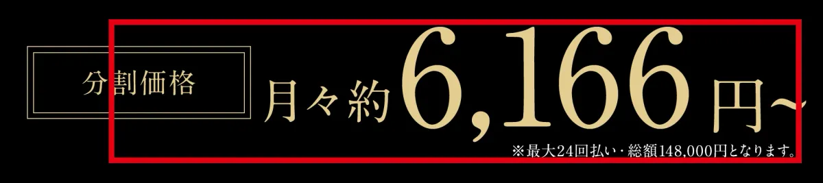 MISSION Jの最大24回払いと総額148,000円の表示