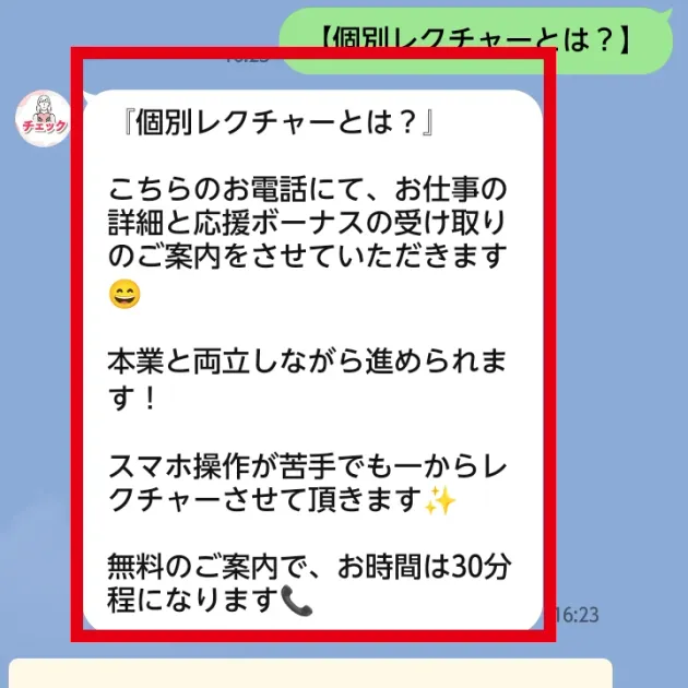株式会社REDの副業で個別レクチャーと電話予約へ進む画面