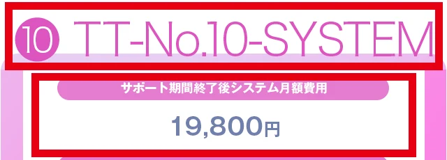 TT-No.10-SYSTEMのサポート終了後の月額利用料1万9,800円